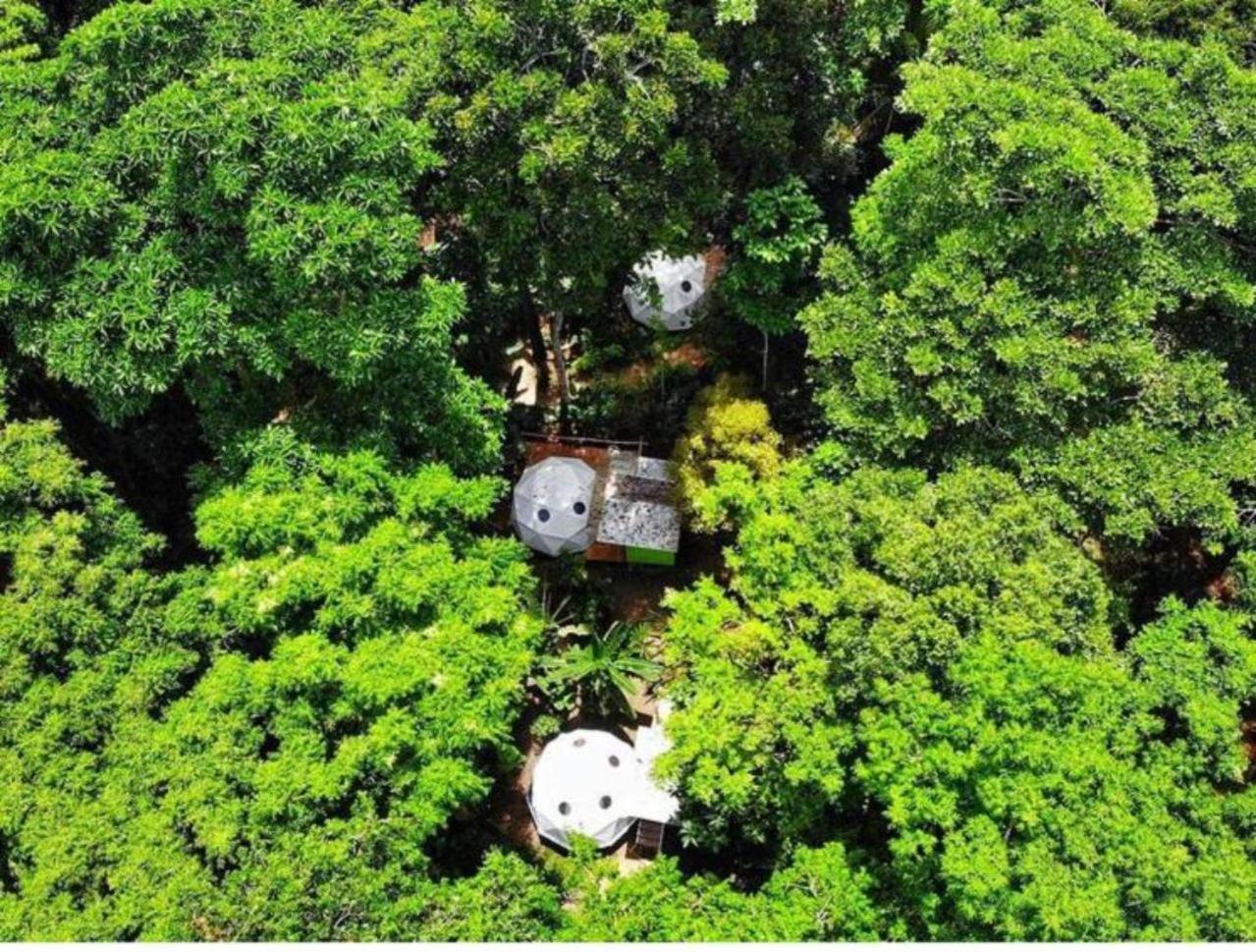 Faith Glamping Dome Costa Rica 호텔 만사니요 외부 사진