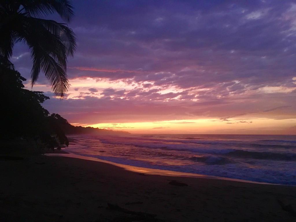 Faith Glamping Dome Costa Rica 호텔 만사니요 외부 사진