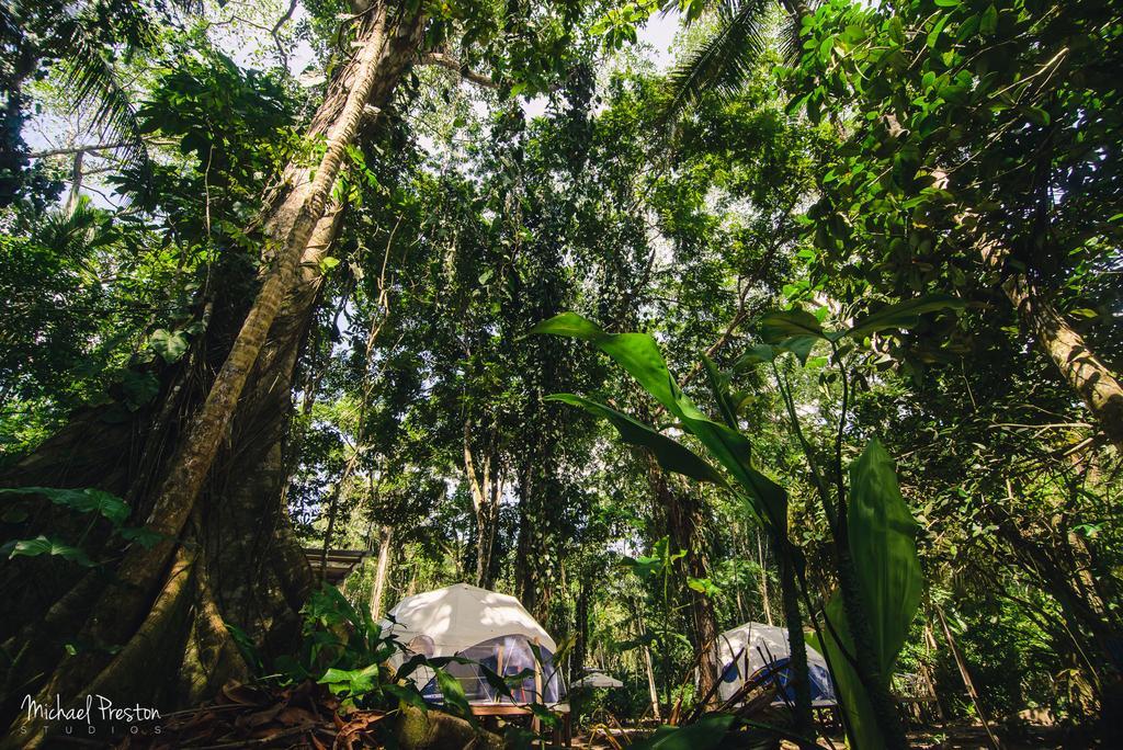 Faith Glamping Dome Costa Rica 호텔 만사니요 외부 사진